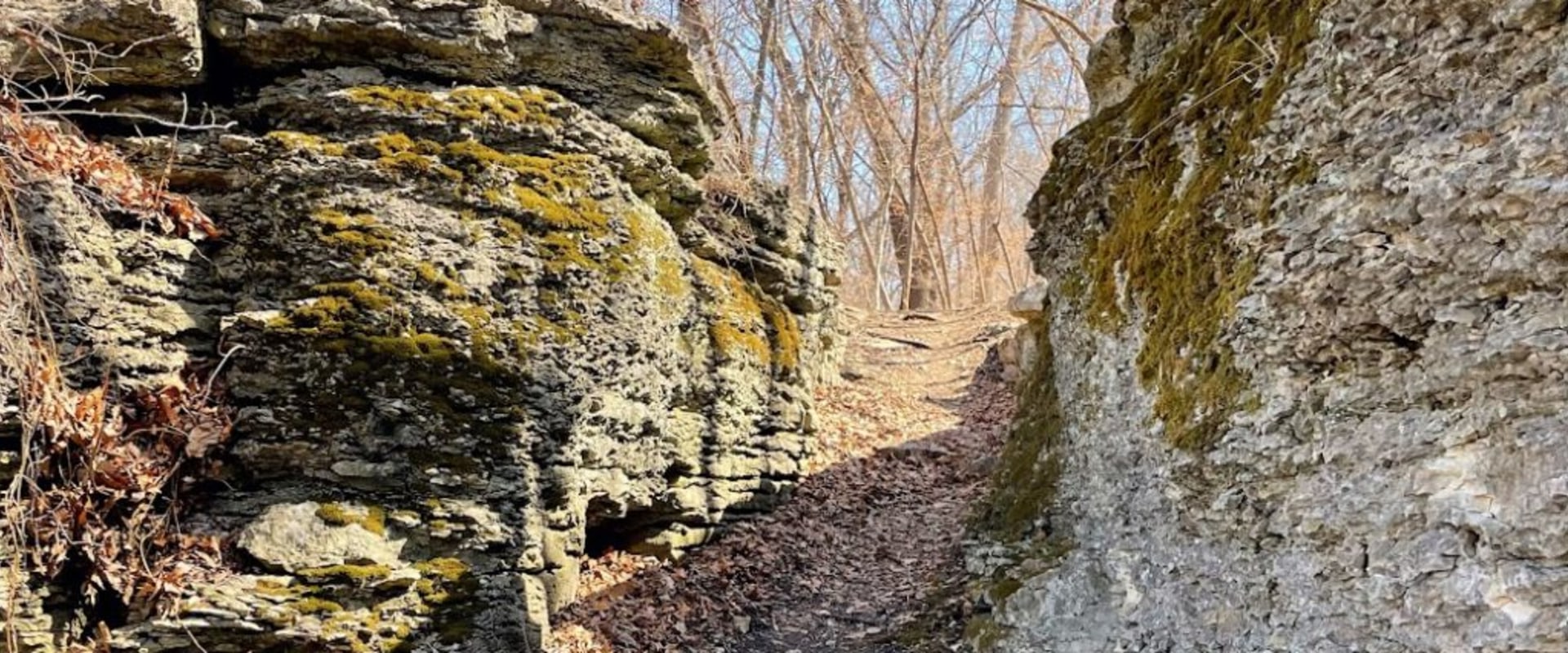 Explore the Best Hiking Trails Around Kansas City