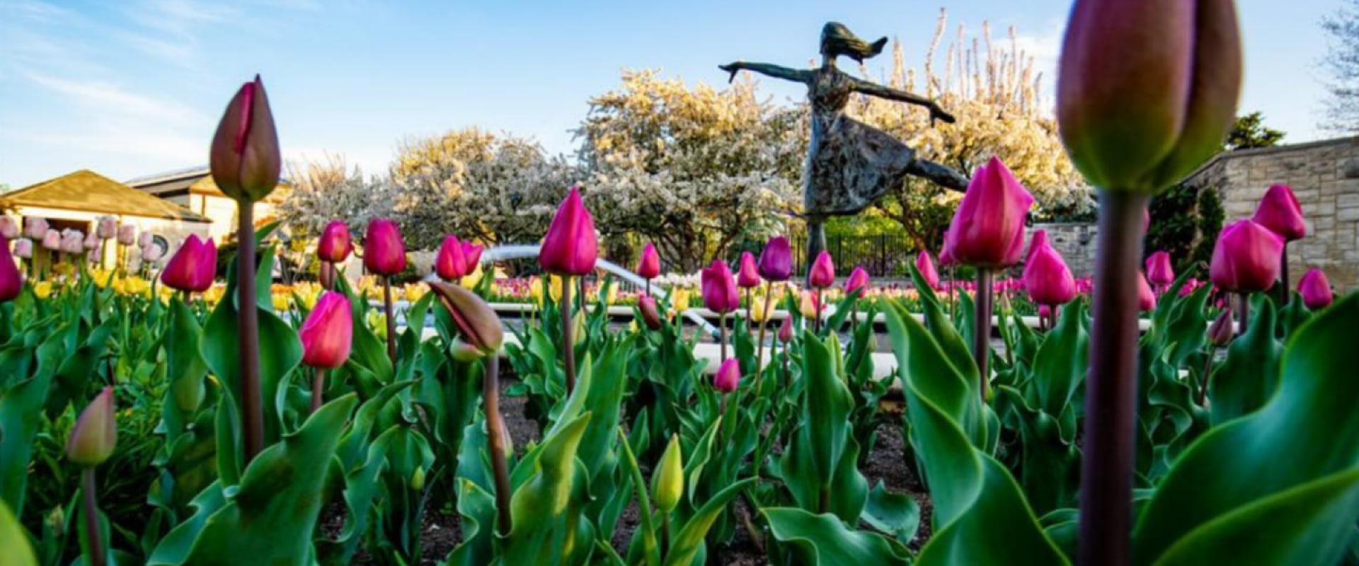 Celebrate Spring with Kansas City's Vibrant Flower Festivals