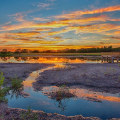 Explore the Best Nature Reserves and Wildlife Areas in Kansas City