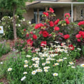 Exploring the Best Landscapers and Gardeners in Kansas City