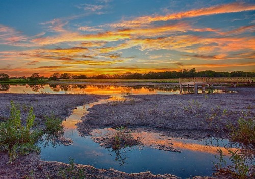 Explore the Best Nature Reserves and Wildlife Areas in Kansas City