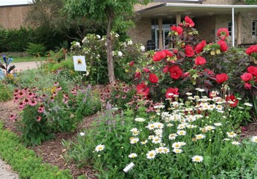 Exploring the Best Landscapers and Gardeners in Kansas City
