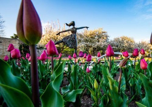 Celebrate Spring with Kansas City's Vibrant Flower Festivals